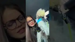 I take dogs for a haircut 🥲