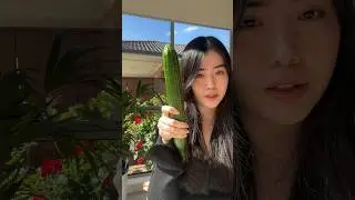 Sesame cucumber salad 🥒