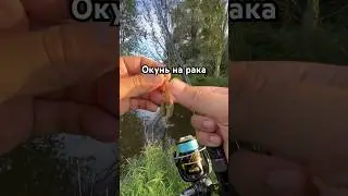 Окунь на рака 