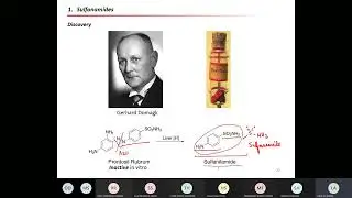 Lecture 11 Sulfonamides  sec1