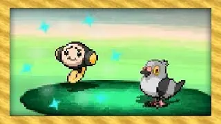 Live Shiny Tympole After Only 718 Random Encounters! (Pokémon Black)