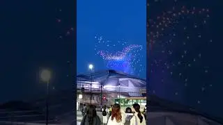 Fireworks / Sky Show in the Centre of Tokyo, Japan #shorts