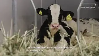Moving Floor Calf product video