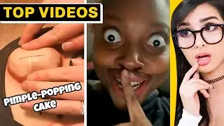 TikToks That I Watch at 3am | SSSniperWolf