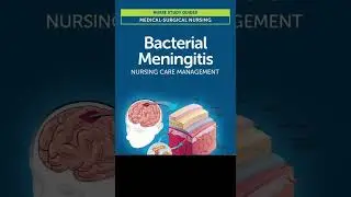 Meningitis: causes, symptoms, diagnosis & treatment