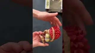 Pop figure unboxing Gaara | Naruto Shippuden