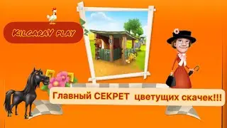 🌺Главный СЕКРЕТ цветущих скачек в Hay Day!😱🌺