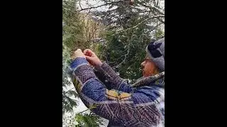 15 марта 2021 г.