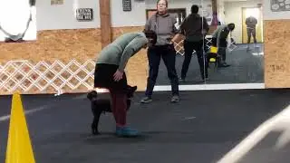 Sigma April novice obedience practice run