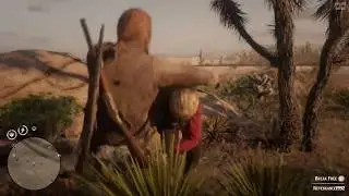 Red Dead Online "Stranger Danger/Player Interference"