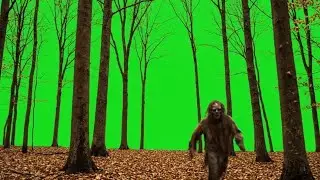 10 Hyper-Realistic Full-Body Zombie Character Assets on Green Screen 