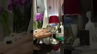 🕯️Рассматривает ли партнер меня в качестве супруги? Расклад на таро 