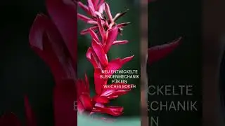 Neuheit: Panasonic 100 mm 1:2,8 S