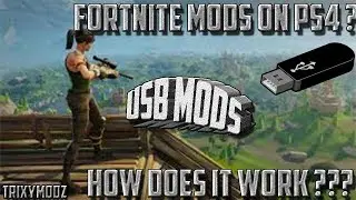 USB Fortnite Mods On PS4 ?? How Does It Work !
