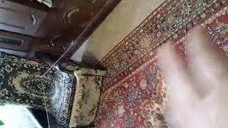 Паук рыболовный