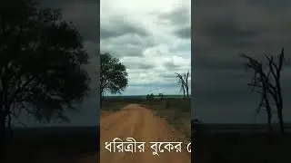 আফ্রিকা