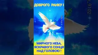Доброго ранку! Гарного дня! Мирного неба над головою!