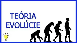 Všetko o evolúcii