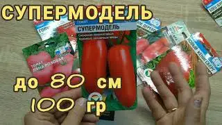 ТОМАТЫ. Какие томаты я буду выращивать на следующий год. Обзор по сортам!