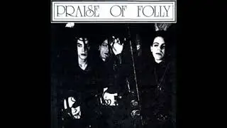 Praise Of Folly - The Envisioned