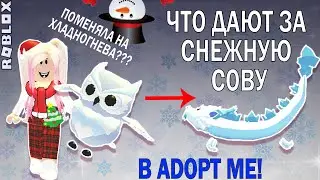 МЕНЯЮ СНЕЖНУЮ СОВУ В АДОПТ МИ! | ЧТО ДАЮТ ЗА НЕЁ? | ПОМЕНЯЛА НА ХЛАДНОГНЕВА? | Adopt Me | Роблокс