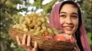 FOZIL QORI 1