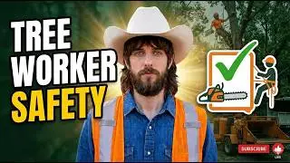 Tree Worker Safety (Chapter 15) - ISA Arborist Study Guide | Tree Talk