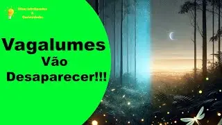 O Mistério do Desaparecimento dos Vagalumes
