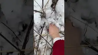 Drone Crash in snow