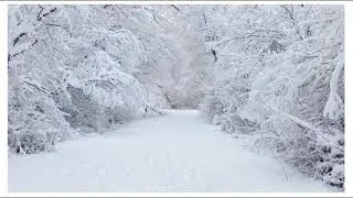 ESTIN - ESIMENE LUMI (earrape)