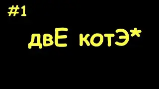 двЕ котЭ .  Выпуск _ 1