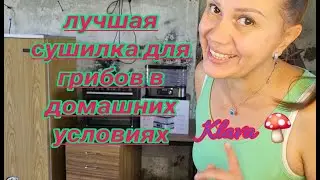 Сушилка для грибов в домашних условиях.Личный опыт как заготовителя мухоморов.Расскрываю секрет.