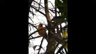 Recordando el viaje por Huatabampo Sonora