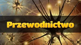 Przewodnictwo nerwowe