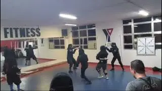 HEMA Halberd! Alabarda em ação!