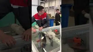Вклейка стеклопакета в алюминиевые двери