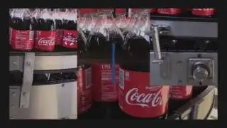Sustaining Success At Coca-Cola