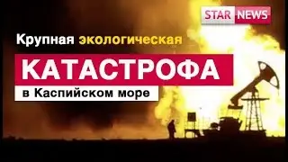 ECOLOGICAL CATASTROPHE in the Caspian Sea! News Kazakhstan 2019