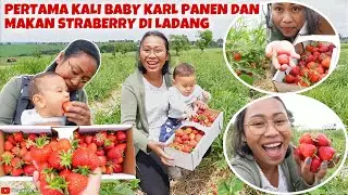 AKHIRNYA PANEN STRAWBERRY PERDANA DI TAHUN 2022