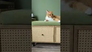 Не разрешила маме участвовать в розыгрыше 🫣🤯 #diy #своимируками