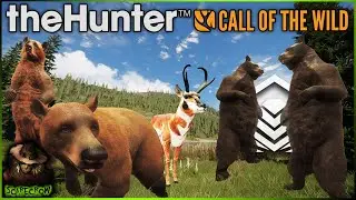 Rares & Diamonds Are EVERYWHERE On Silver Ridge Peaks! Call of the wild