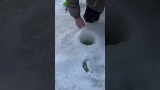 Классика пастовушки паста багорик