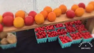 Tabora farms Commercial Market
