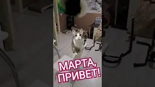 Привет,Марта! 