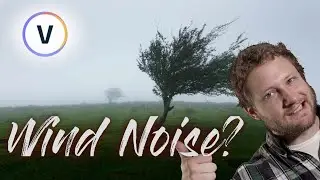 How to Reduce Wind Noise in Vegas Pro 19