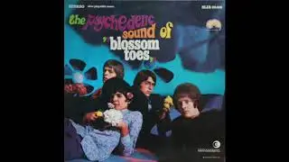 Blossom Toes - I Will Bring You This And That
