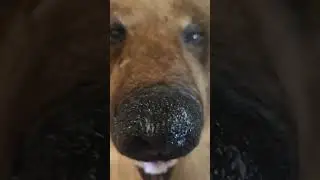Что в мешочке? 🤔 хоррор