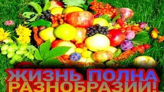 ВАЛЕРИЙ ДАНИЛОВ - ЖИЗНЬ ЭТО ДАР!