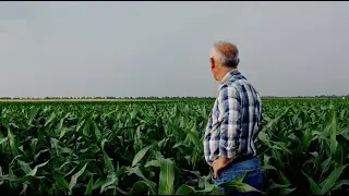 Victory Foods