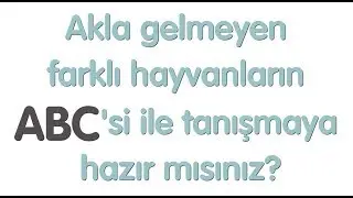 A'dan Z'ye Hayvanlar - Alfabetik sıraya göre ilginç ve akla gelmeyen farklı hayvan isimleri